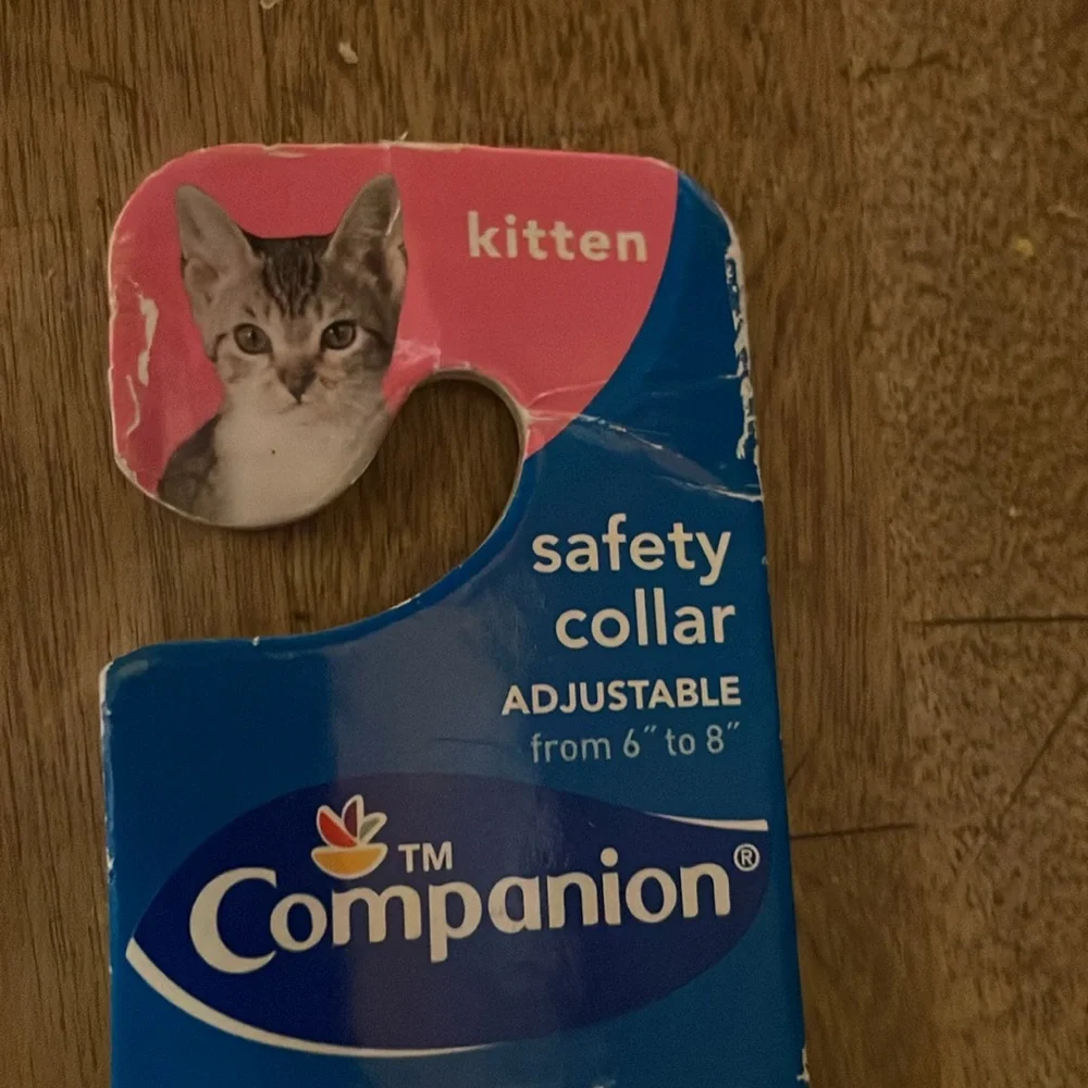 Cat collar new adjustable from 6” to 8 “